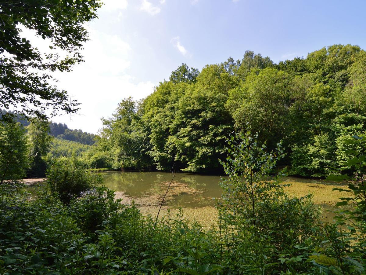 Detached Chalet In Lovely Hiking Region Bellevaux Exterior photo